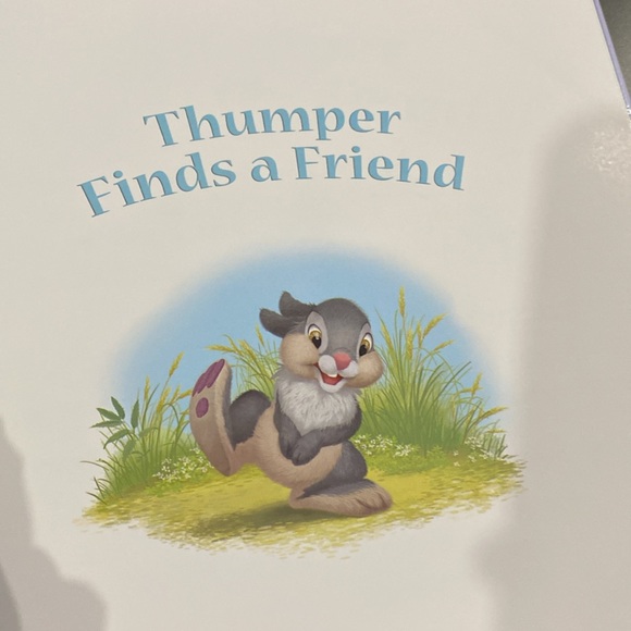 Disney Bunnies: Thumper Finds A Friend - Hardcover Children’s Book - Picture 3 of 11
